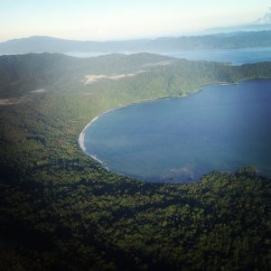 hutan di Papua