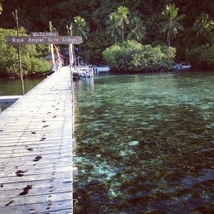 jetty Raja Ampat Dive Lodge jetty Raja Ampat Dive Lodge
