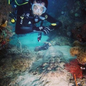 melihat wobbegong melihat wobbegong
