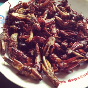 belalang goreng