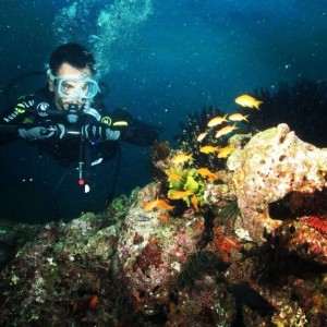 Ikan anthias dan terumbu karang