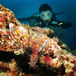 bersama lion fish