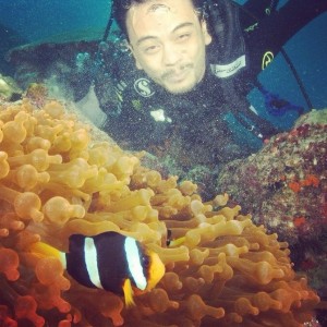 Bersama clown fish dan anemon
