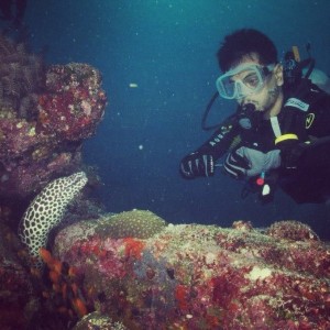 bersama moray eel