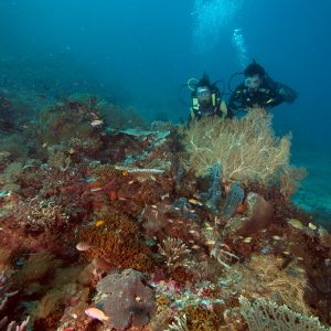 di Airborek di Airborek