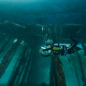 di bawah jetty Airborek di bawah jetty Airborek