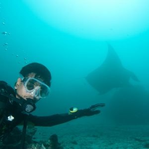 melihat manta melihat manta