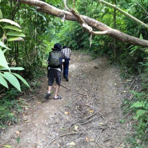 trekking di Ngarai Sianok trekking di Ngarai Sianok