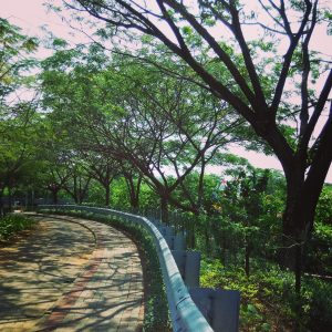 menuju TWA Angke Kapuk menuju TWA Angke Kapuk