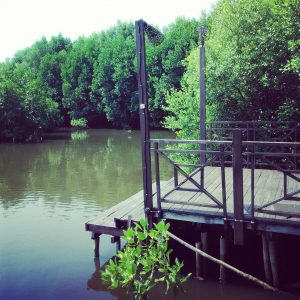 dermaga kayu dermaga kayu