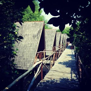 pondok kemah TWA Angke Kapuk pondok kemah TWA Angke Kapuk