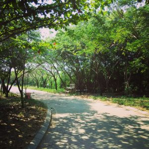 jalan utama TWA Angke Kapuk jalan utama TWA Angke Kapuk