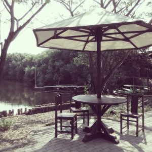 meja berpayung di TWA Angke Kapuk meja berpayung di TWA Angke Kapuk