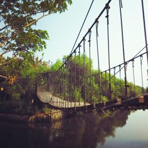 jembatan gantung TWA Angke Kapuk jembatan gantung TWA Angke Kapuk