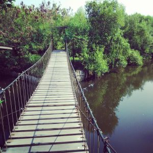 jembatan gantung di TWA Angke Kapuk jembatan gantung di TWA Angke Kapuk