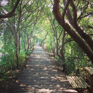 jalan menuju jembatan besar TWA Angke Kapuk jalan menuju jembatan besar TWA Angke Kapuk