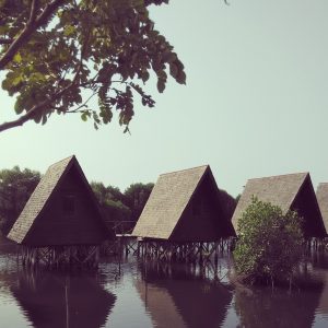 penginapan tenda di atas air penginapan tenda di atas air