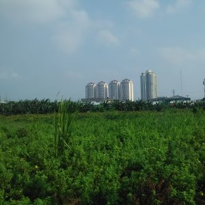 tanaman dan gedung dari Stasiun Kampun Bandan