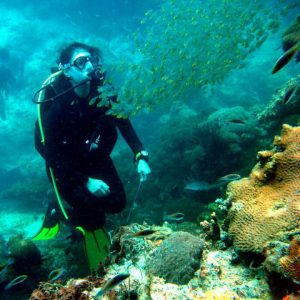 Sarah da pygmy sweeper