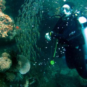 Sarah dan pygmy sweeper