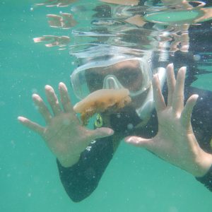 bermain dengan ubur-ubur tak bersengat bermain dengan ubur-ubur tak bersengat