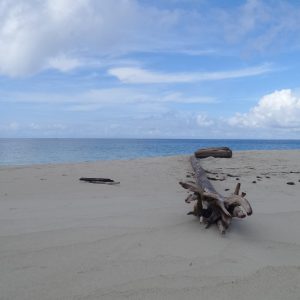 gusung Pulau Derawan gusung Pulau Derawan