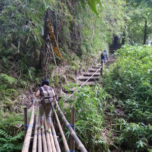 jalur menuju cengkeh Afo jalur menuju cengkeh Afo