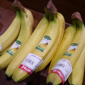 pisang cavendish Sunpride