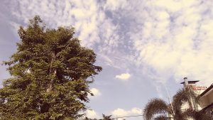 memotret dengan menggunakan filter