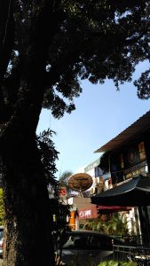 memotret di siang hari