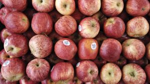 foto tanpa HDR foto tanpa HDR