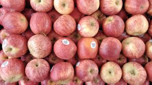 foto HDR langsung foto HDR langsung