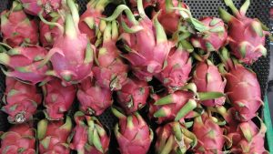 foto tanpa HDR foto tanpa HDR