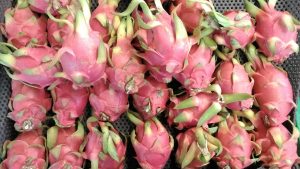 foto HDR Langsung foto HDR Langsung