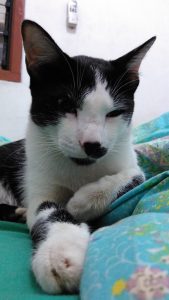 foto dalam ruangan, non-HDR