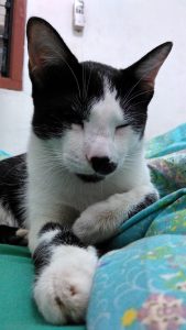 foto dalam ruangan, HDR