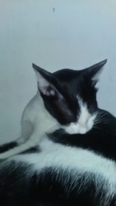 hasil foto Acer Liquid Z320 dengan lampu flash