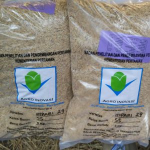 beras hasil penelitian Balai Penelitian dan Pengembangan Pertanian Kementerian Pertanian beras hasil penelitian Balai Penelitian dan Pengembangan Pertanian Kementerian Pertanian