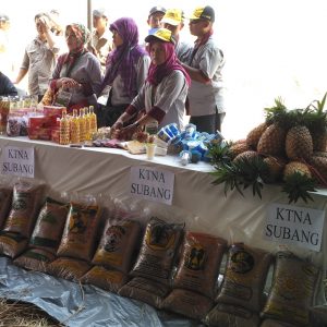 hasil pertanian KTNA Subang hasil pertanian KTNA Subang