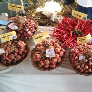 varietas bawang merah dan cabe varietas bawang merah dan cabe