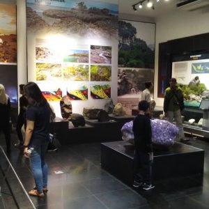 ruang Geologi Indonesia