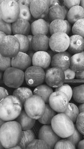 hasil kamera Lineage OS dengan mode Satu