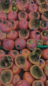 hasil kamera Lineage OS dengan mode Matahari