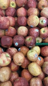 hasil kamera Lineage OS dengan mode Posterisasi