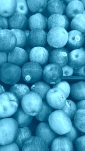 hasil kamera Lineage OS dengan mode Aqua