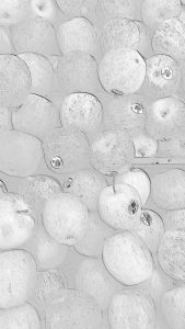 hasil kamera Lineage OS dengan mode Sketsa