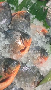 hasil kamera Lineage OS dengan mode otomatis