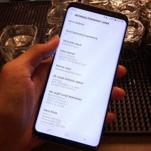 informasi sistem Samsung Galaxy S8