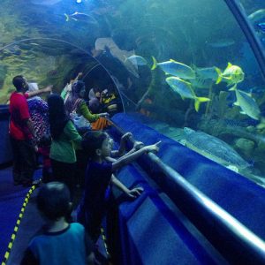 di dalam tunnel Aquaria KLCC