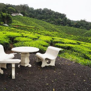 Cameron Highlands